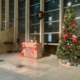 ロビー展示 クリスマスツリー2025