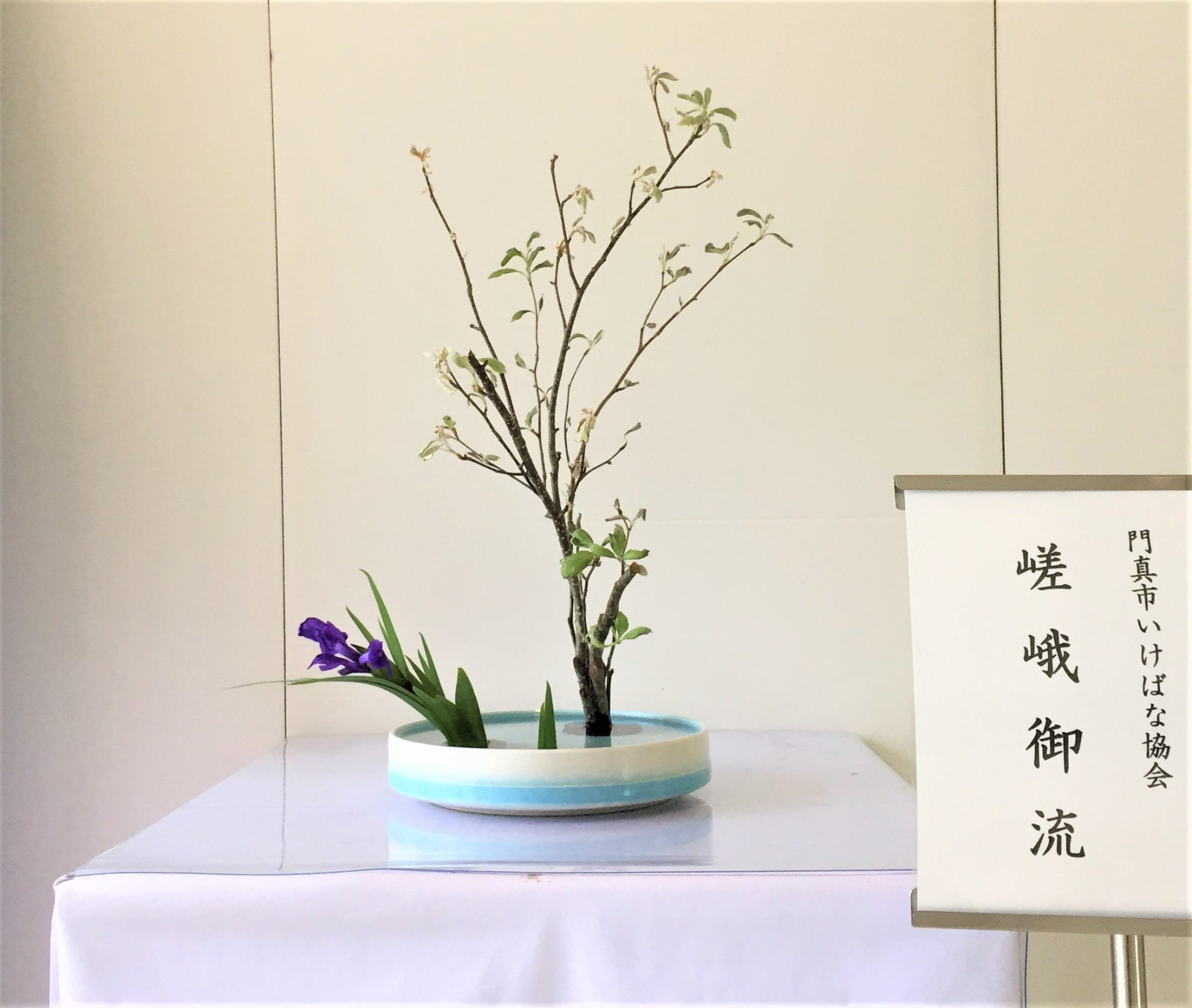 新品未使用】嵯峨三宝 5点セット 華道・嵯峨御流 花留・剣山 - 花瓶