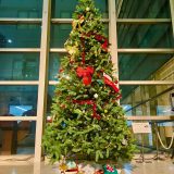 ロビー展示 クリスマスツリー2025