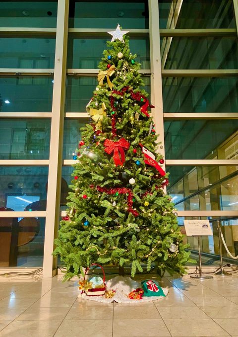 ロビー展示 クリスマスツリー2025